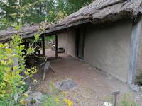 Wikingerdorf Birka