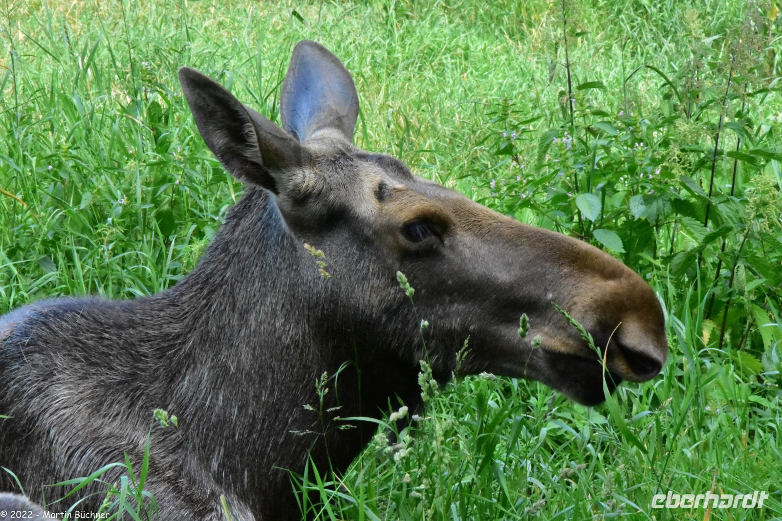 Zu Gast beim 