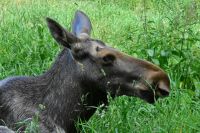 Zu Gast beim 