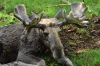 Zu Gast beim 