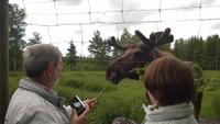im Elchpark