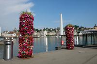 Überall Blumen
