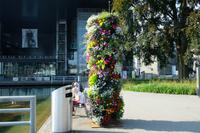 Überall Blumen