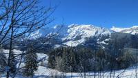 0009 Ausflug zum Jungfraujoch