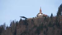 0196 Ortsführung in Interlaken - Hader Kulm
