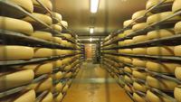 078 Emmental - Besuch in der Emmentaler Schaukäserei - Käsekeller
