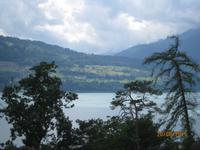 Blick über Thuner See