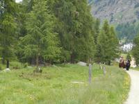 Pferdekutschfahrt ins Val Roseg