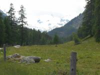 Pferdekutschfahrt ins Val Roseg