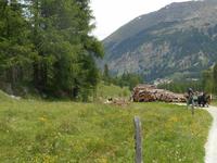 Pferdekutschfahrt ins Val Roseg