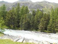 Pferdekutschfahrt ins Val Roseg