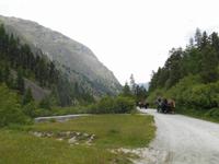 Pferdekutschfahrt ins Val Roseg