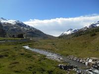 Fahrt mit dem Bernina-Express