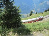 Schynige Platte-Fahrt mit der historischen Bahn