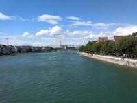 Basel-Rhein mit Rheinschwimmer