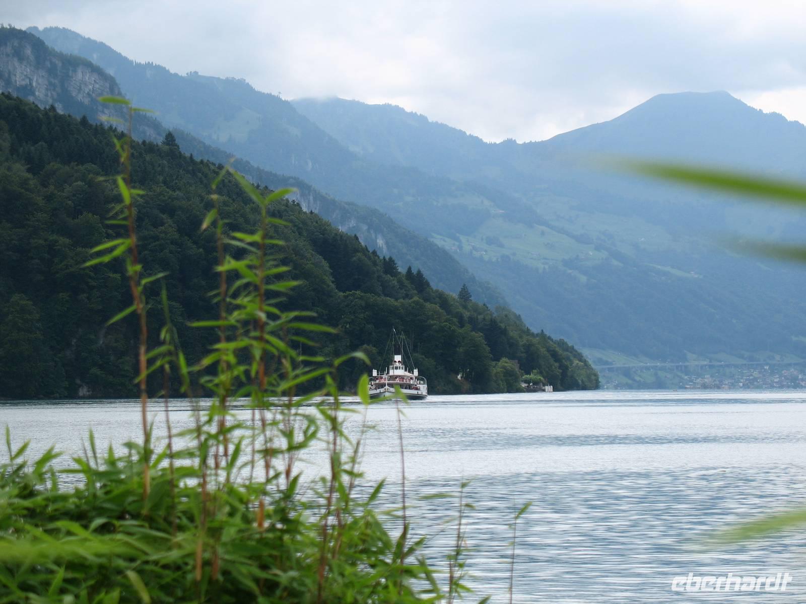 Vierwalstätter See, Brunnen