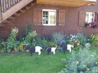 Wanderung von der Riederalp zur Bettmeralp