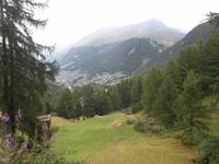 Wanderung von der Station Furi nach Zmutt (Lärchenweg)