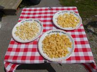 Käse-Verkostung am Grimselpass