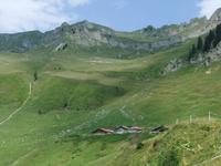 Dort hinauf soll's gehen