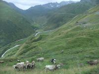 Fahrt über die Furkapassstraße