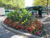 Stadtführung in Luzern