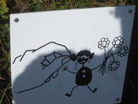 Schynige Platte_unser letzte Programmpunkt