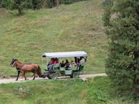 0056 Glacier-Bernina-Express- Kutschfahrt ins Val Roseg