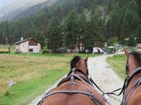 0059 Glacier-Bernina-Express- Kutschfahrt ins Val Roseg