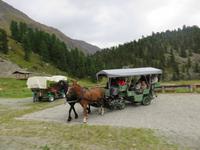 0071 Glacier-Bernina-Express- Kutschfahrt ins Val Roseg - Blick zum Roseg-Gletscher