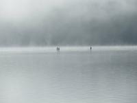 0214 Glacier-Bernina-Express- Morgenstimmung über dem Silvaplaner See