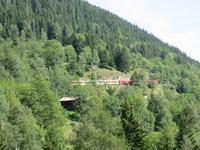 0390 Glacier-Bernina-Express- Fahrt durch das Rhonetal - Stopp an der Hängebrücke in Bellwald - Glacier-Express