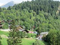 0392 Glacier-Bernina-Express- Fahrt durch das Rhonetal - Stopp an der Hängebrücke in Bellwald - Zugverkehr