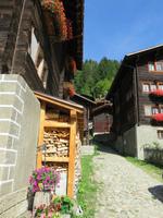 0409 Glacier-Bernina-Express- Fahrt durch das Goms - Stopp in Niederwald