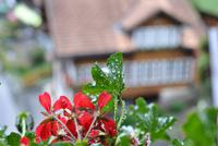 Ankunft in Grindelwald, unser Hotel 