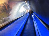 Fahrt zum Jungfraujoch