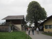 Emmental_Alphornmacherei Bachmann