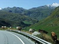 Fahrt hinunter ins Oberhalbstein