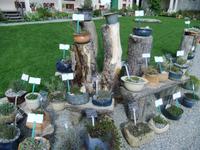 Im Kräutergarten de rSchatzalp