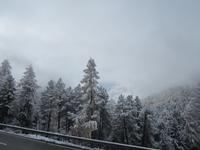 Bernina-Express, Fahrt von Tiefencastel nach Tirano