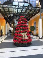 196 Silvester im Berner Oberland - Interlaken - Neujahrstag - Weihnachtsdekoration im Hotel Viktoria-Jungfrau