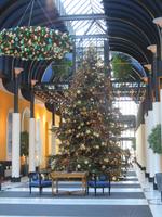 198 Silvester im Berner Oberland - Interlaken - Neujahrstag - Weihnachtsdekoration im Hotel Viktoria-Jungfrau