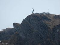 317 Silvester im Berner Oberland - Ausflug nach Grindelwald - auf dem First  - kein Schnee - Plattform vom Cliff Walk