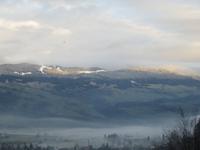 372 Silvester im Berner Oberland - Rückreise - auch in der Zentralschweiz gibt es keinen Schnee