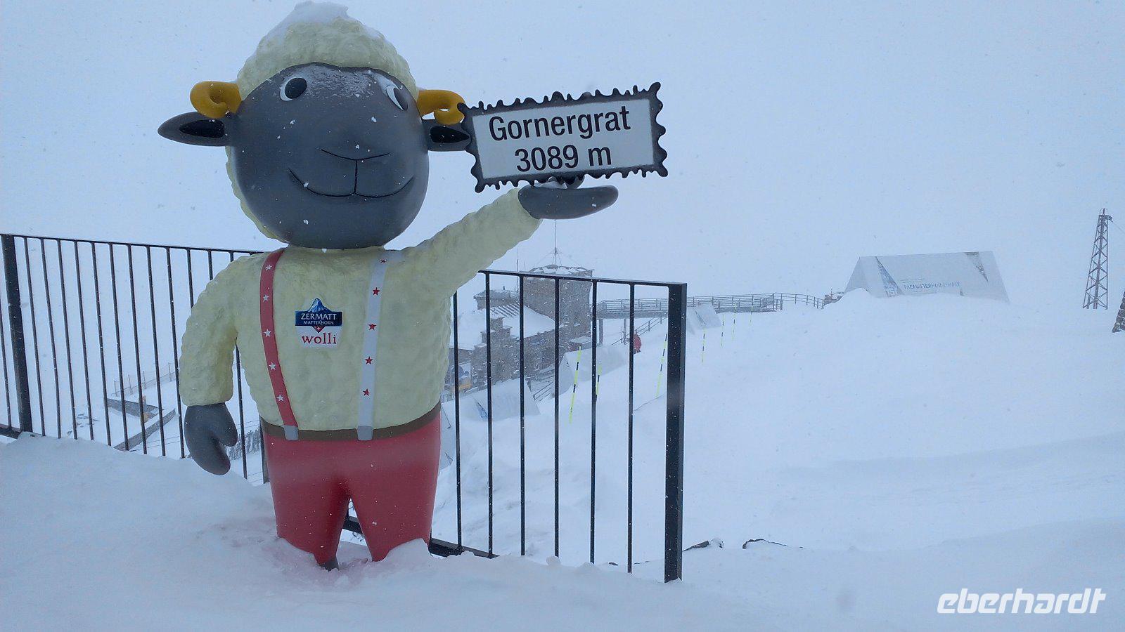 Zermatt-Fahrt mit der Gornergrat-Bahn