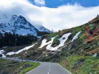Glacier-Bernina-Reise, Ausflug ins Engadin, Fahrt zum Flüela-Pass