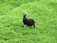 Glacier-Bernina-Reise, Ausflug ins Engadin, Besuch im Engadiner Dorf Guarda