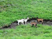 Glacier-Bernina-Reise, Ausflug ins Engadin, Besuch im Engadiner Dorf Guarda