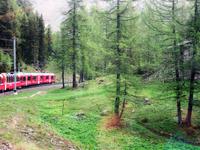 Glacier-Bernina-Reise, Fahrt mit dem Bernina-Express -