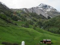 Glacier-Bernina-Reise, Piz Bernina